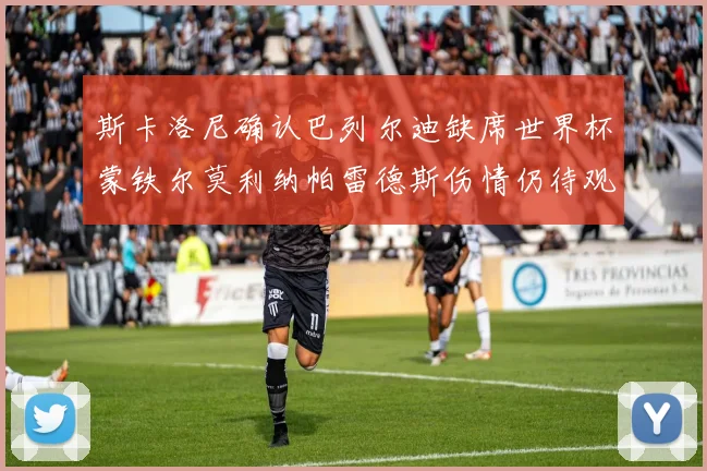 斯卡洛尼确认巴列尔迪缺席世界杯蒙铁尔莫利纳帕雷德斯伤情仍待观察